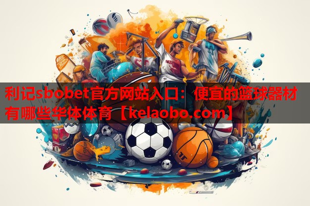 利记sbobet官方网站入口：便宜的篮球器材有哪些华体体育