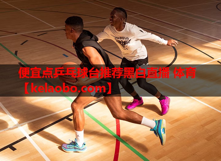 便宜点乒乓球台推荐黑白直播 体育