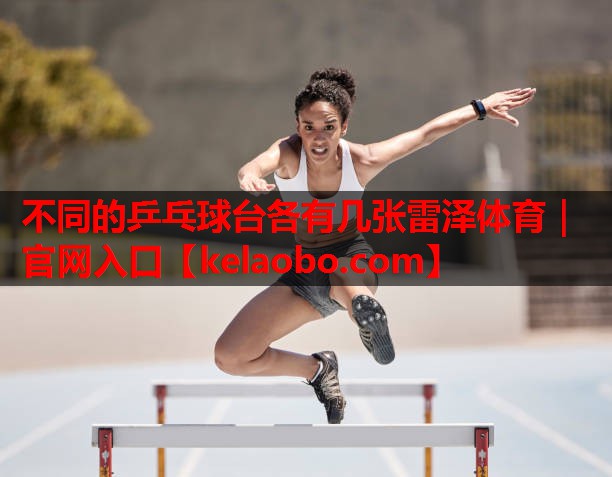 不同的乒乓球台各有几张雷泽体育｜官网入口