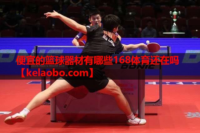 便宜的篮球器材有哪些168体育还在吗
