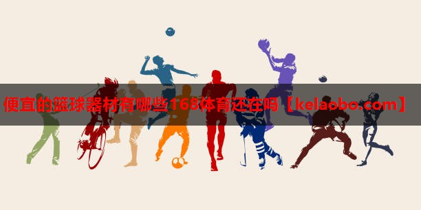 便宜的篮球器材有哪些168体育还在吗