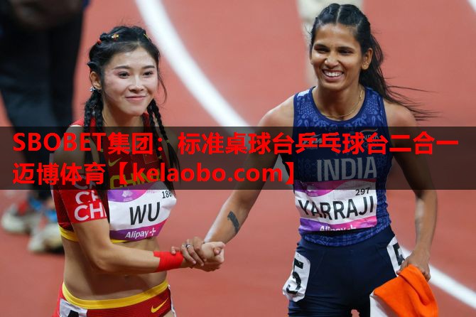 SBOBET集团：标准桌球台乒乓球台二合一迈博体育