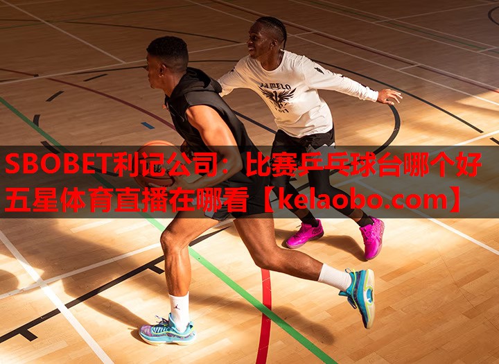 SBOBET利记公司：比赛乒乓球台哪个好五星体育直播在哪看