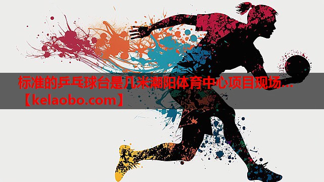 标准的乒乓球台是几米潮阳体育中心项目现场…