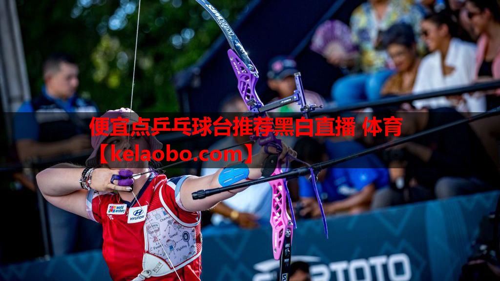 便宜点乒乓球台推荐黑白直播 体育