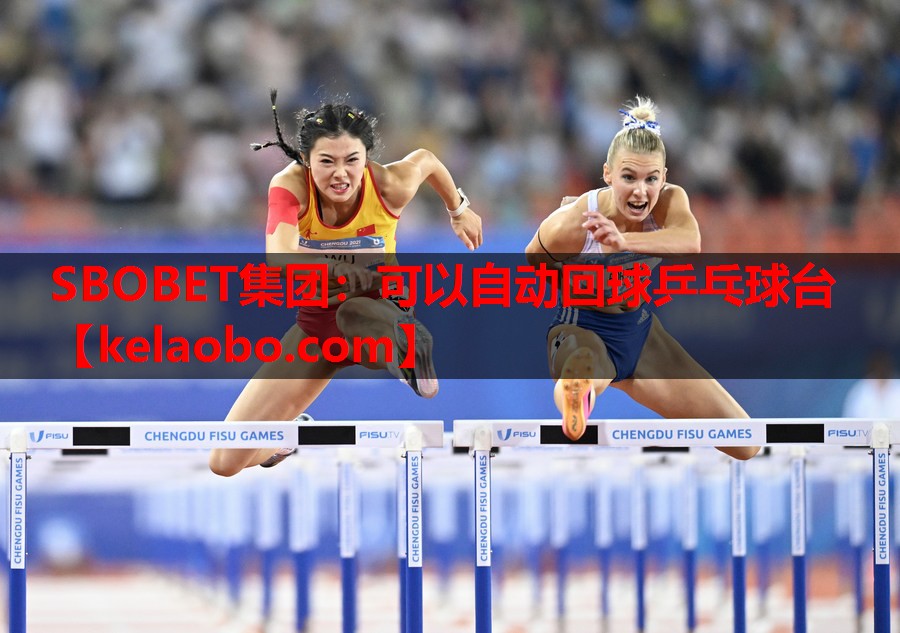 可以自动回球乒乓球台 可以自动回球乒乓球台