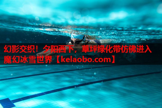 幻影交织!夕阳西下,草坪绿化带仿佛进入魔幻冰雪世界 幻影交织!夕阳西下,草坪绿化带仿佛进入魔幻冰雪世界