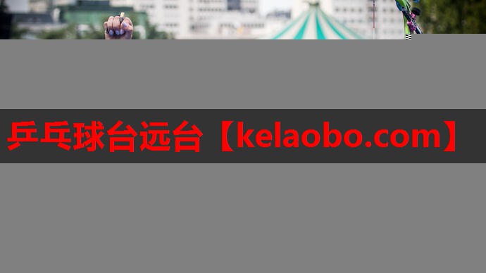 乒乓球台远台 乒乓球台远台