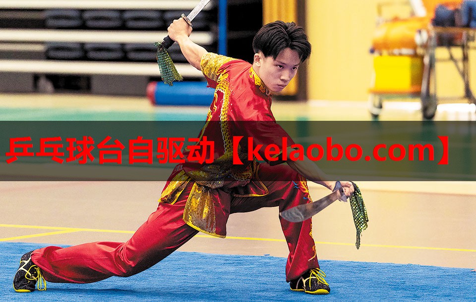乒乓球台自驱动 乒乓球台自驱动