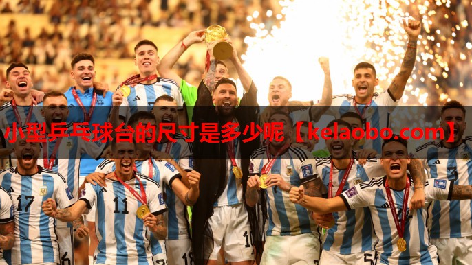 小型乒乓球台的尺寸是多少呢