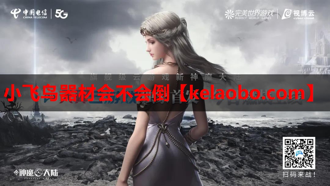 小飞鸟器材会不会倒